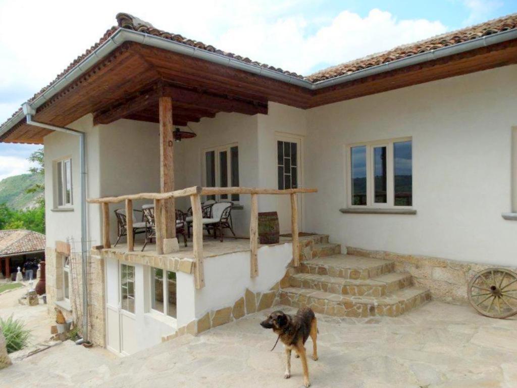 Guest House Biekorf Kostandenets Luaran gambar